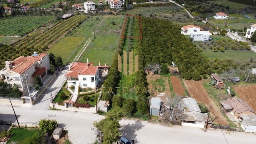 (For Sale) Land Plot || Argolida/Nea Tiryntha - 900 Sq.m, 35.000€ 